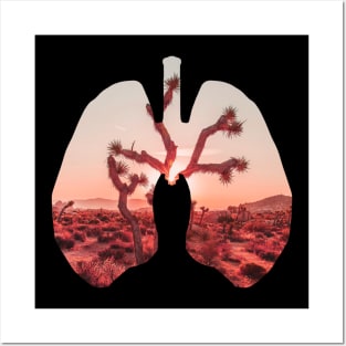 Desert Sun Set in Lungs Design Posters and Art